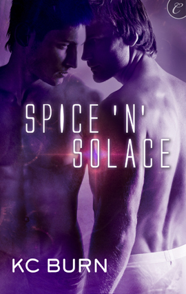 Title details for Spice 'n' Solace by KC Burn - Available